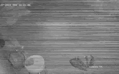 Sửa Chữa Camera Chuyên Nghiệp Ở Hà Lan, Buôn Hồ, Đắk Lắk
